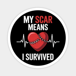 Open Heart Surgery Coronary Bypass Artery Stent Patients Magnet